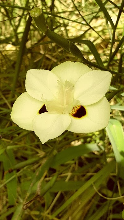 Photos of Vivero Joya de Oro