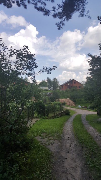 Photos of Edmunda Būmaņa vīna dārzs