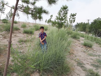 Rahmatabad Park