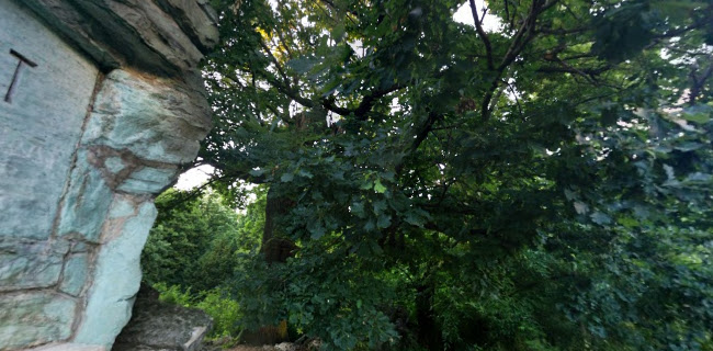 Hozzászólások és értékelések az Erzsébet park Természetvédelmi Terület-ról