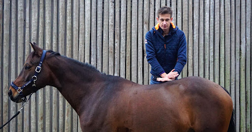 EQmove - veterinaire trainingsoptimalisatie Gallery - Netherlands