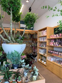 Fluff （フラーフ）