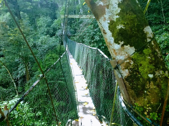 Gunung Mulu National Park