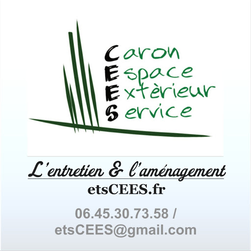 CEES - Thumbnail
