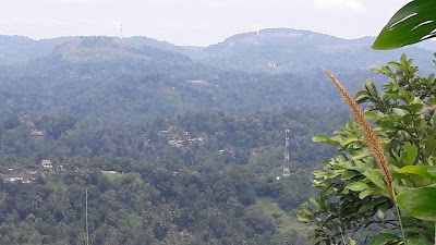 Photos of Rukmani Devi Satue