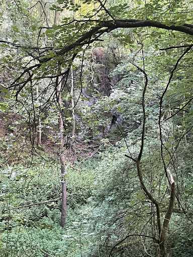 Eulenflucht