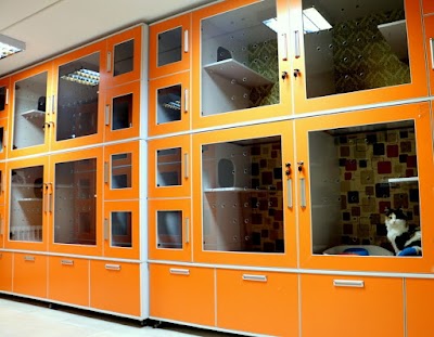 Photos of Central Veterinary Hospital