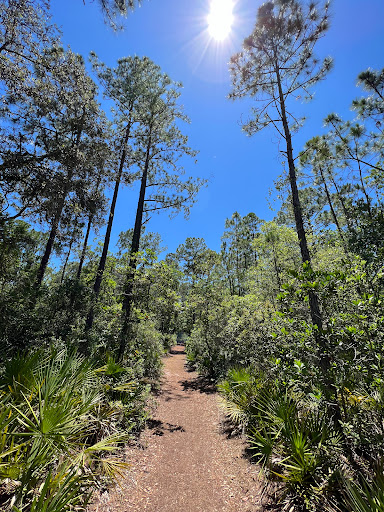 Brooker Creek Preserve & Environmental Education Center - Thumbnail