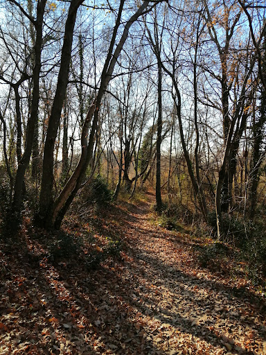 Monte Moscal - Visual