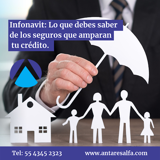 Antares Alfa Soluciones Inmobiliarias - Thumbnail