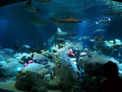 New York Aquarium