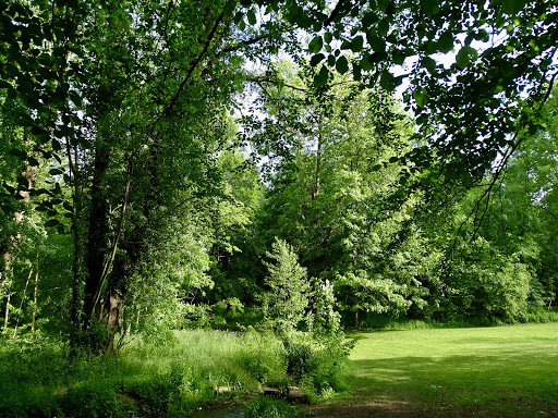 Champigneulles Parc du Château - Thumbnail