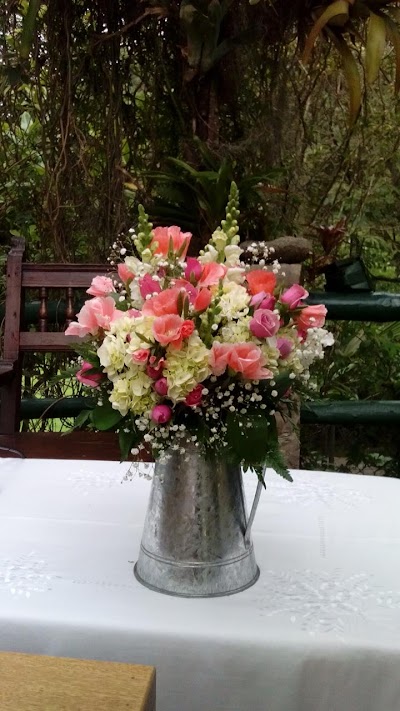 Photos of Love and Flowers