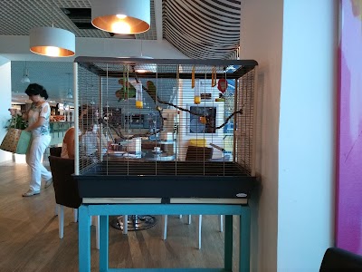Photos of Caffe del Moro