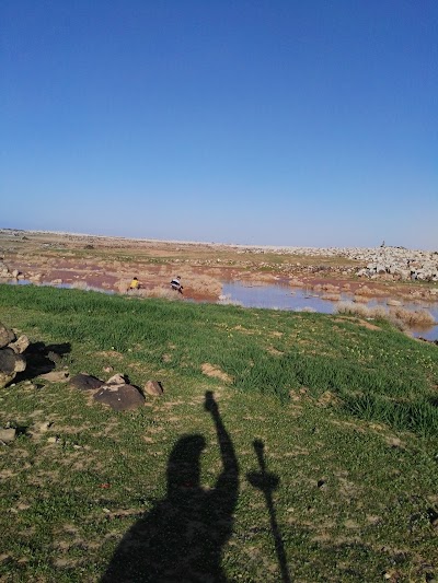 Photos of المباق