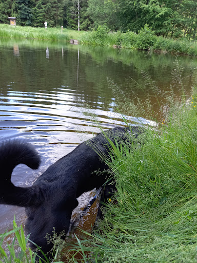 Dreisbachtal Teich - Thumbnail