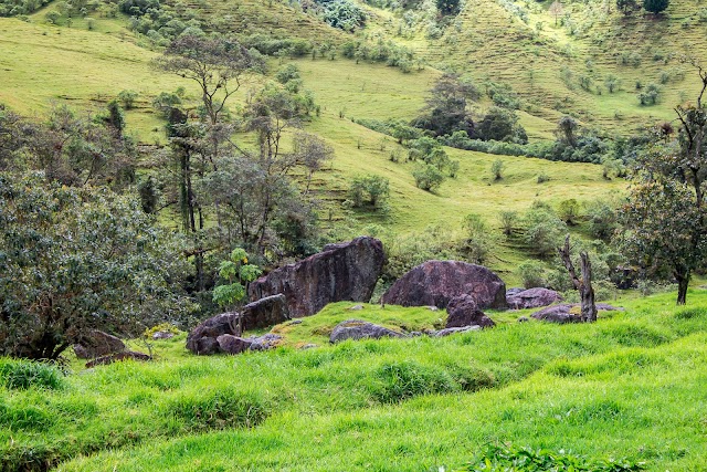 Cocora Valley Trail