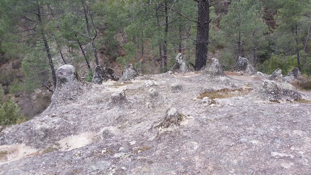 Tétines de Vernon
