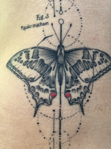 https://linktr.ee/lamaisontattoo