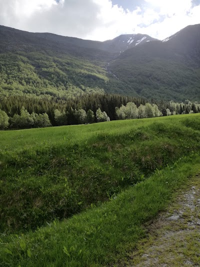 Photos of Steinsvika