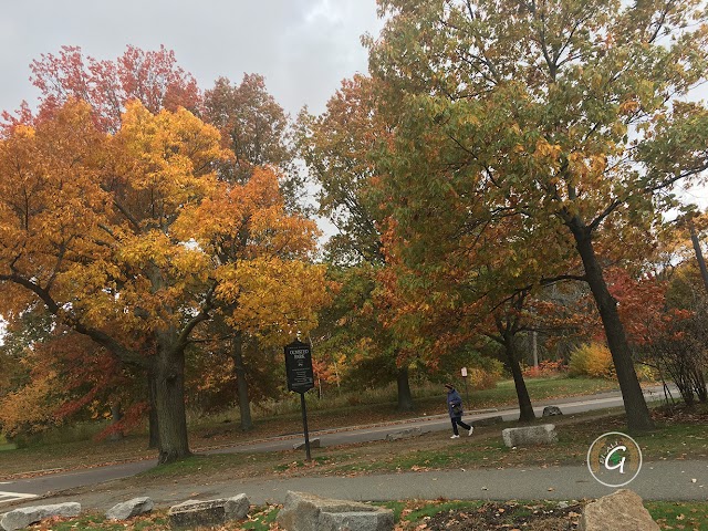 Emerald Necklace