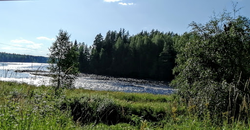 Riverwild - Visual