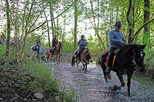 Photo n°10 de Comité Départemental de Tourisme Équestre Ariège (CDTE 09) à Foix (Centre de randonnée équestre)