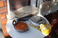 インド・ネパール料理 ニューガンガ