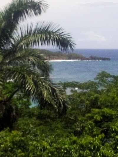 Photos of Kanopi