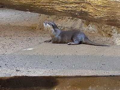 Living Shores Aquarium