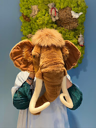 Photo n°8 de DOMVET - Clinique Vétérinaire à Paris (Clinique vétérinaire)