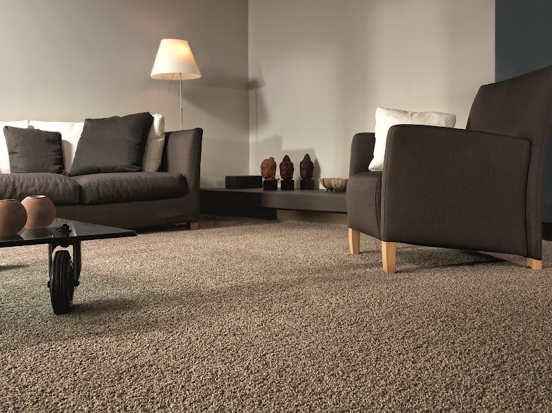 Wilsons Carpets, Wheatley Hall Rd, Doncaster photo 3