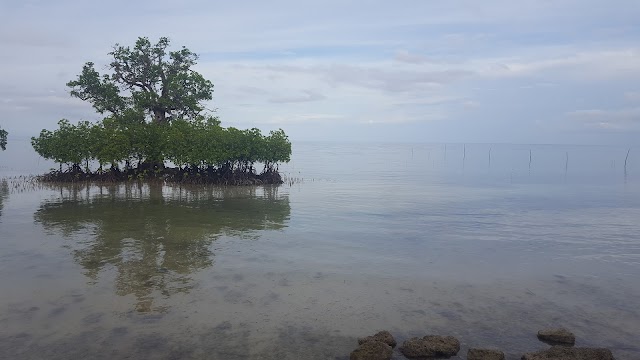 Tulapos Marine Sanctuary