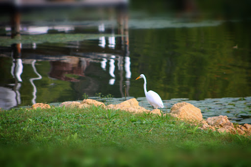 Fox Waterway Agency - Thumbnail