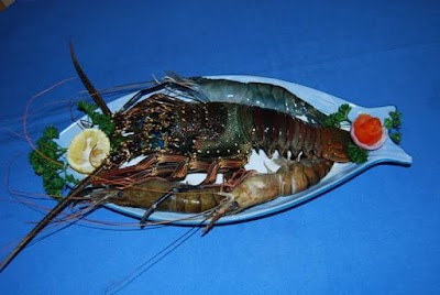 Photos of Le C&acirc;pre Restaurant