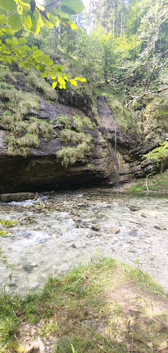 Scharnbach Wasserfall - Visual