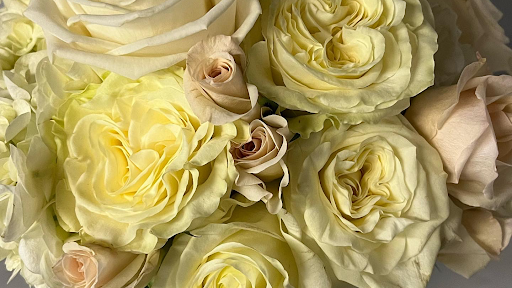 Avant Garden Florist - Thumbnail