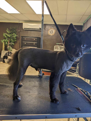 A Pretty Puppy Pet Grooming - Thumbnail