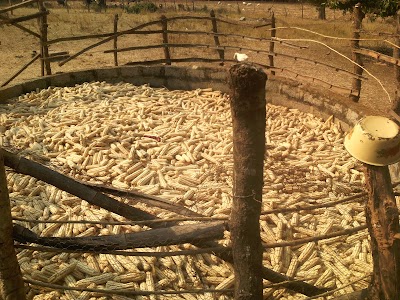 photo of Kandiana Dairy Farm