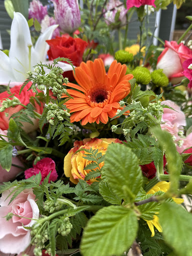 Newfoundland Floral Design - Thumbnail