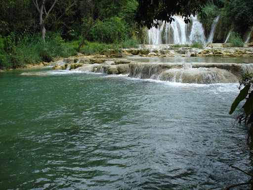 Bambú Ambar - Visual