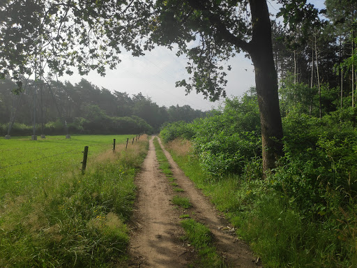 MTB Route Lunteren (startpunt)