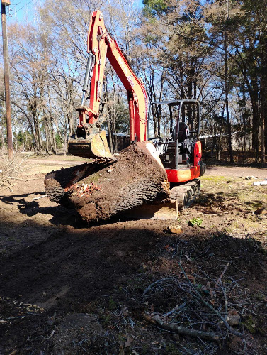 CNB Tree Services