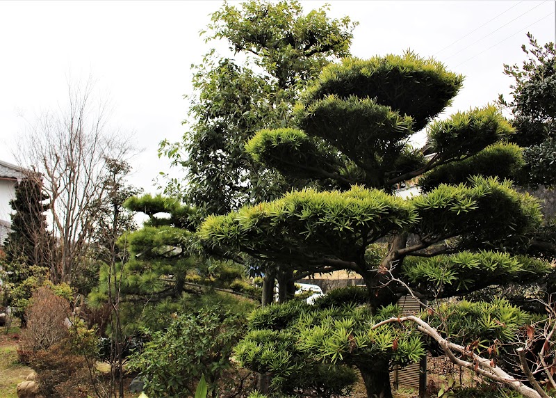 （有）千代田園芸社