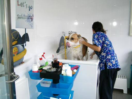 Clínica Veterinaria Santa Eufemia