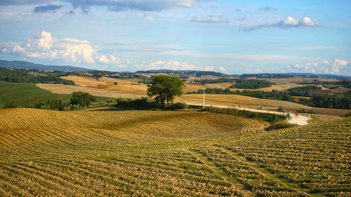 Gaiole (Arrivo) - Thumbnail