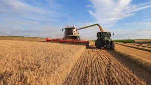 Photo n°4 de SARL Du Chatelot à Fontaines-en-Duesmois (Ingénieur.e agronome)