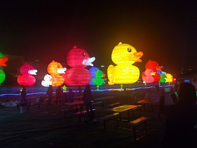 Photos of Dream Aquarium