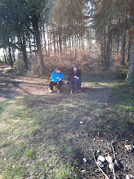 Photo n°11 de La Voix SaCrée de SaRâ à Sain-Bel (Médium)