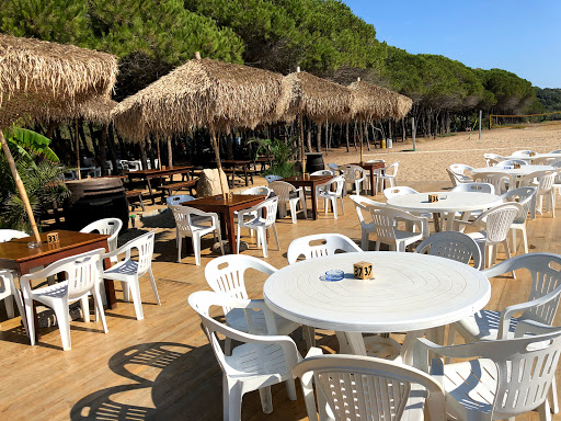 Sard Cafè - Visual